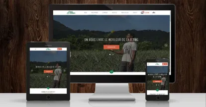 Our Latest Project — Petitcocotier.fr